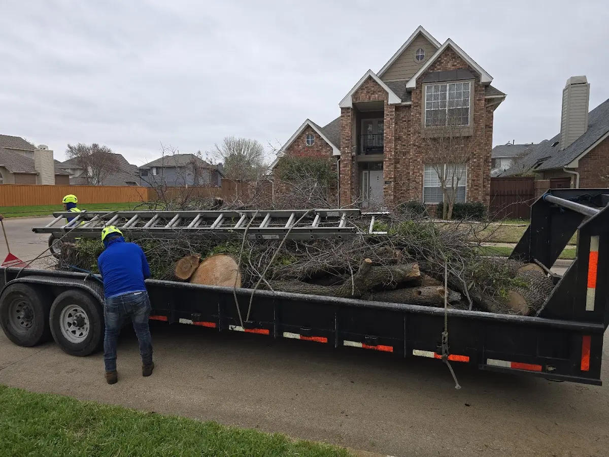 Expert Tree Removal with proper safety equipment in Sarah Ann